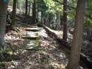 North Country Trail